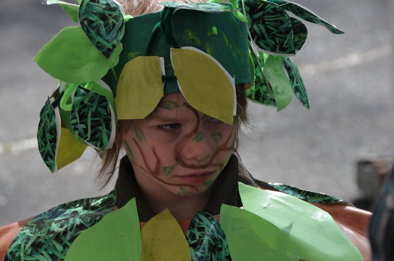 Evry Daily Photo - Carnaval Evry 2010 095 - large.jpg